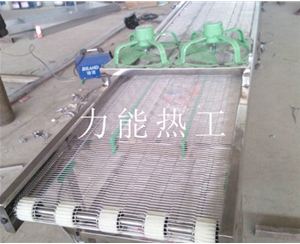德州乙字网输送机