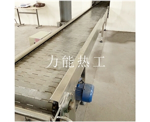 德州链板输送机
